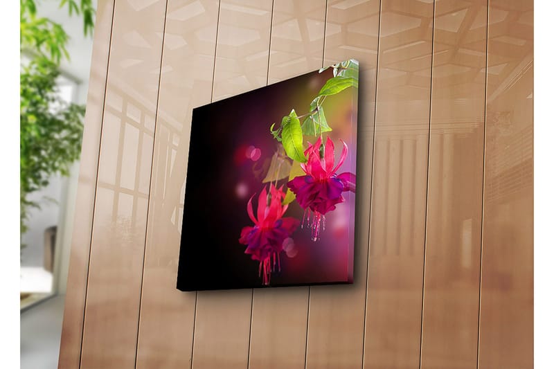 Canvastavla 45x45 cm - Färgrik hängande fuchsia med gröna blad - Rosa / Lila / Grön - Inredning - Tavlor & konst - Canvastavlor