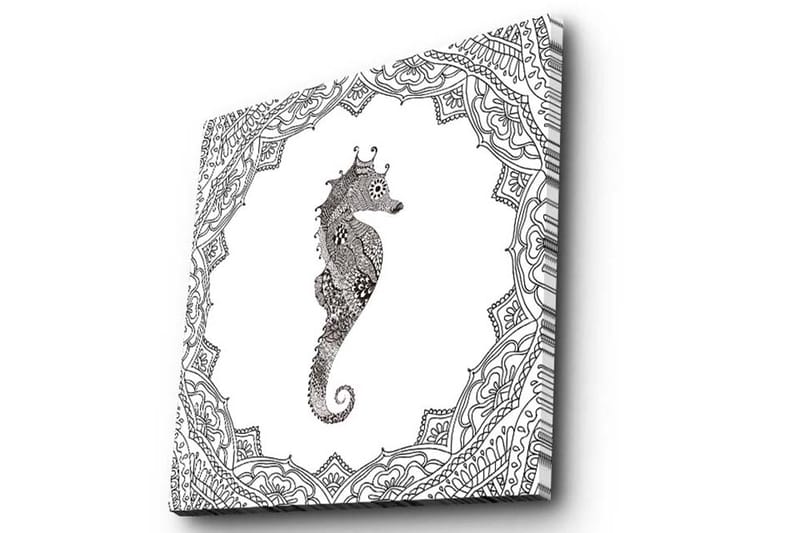 Canvastavla 45x45 cm - Havsdrake i detaljerad svart och vit stil - Svart / Vit - Inredning - Tavlor & konst - Canvastavlor