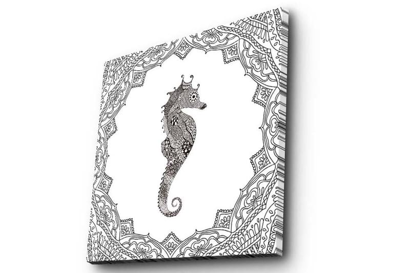 Canvastavla 45x45 cm - Havsdrake i detaljerad svart och vit stil - Svart / Vit - Inredning - Tavlor & konst - Canvastavlor