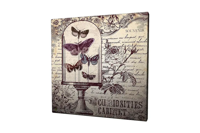 Canvastavla 45x45 cm - Insekter i en glaskupa med blommor och handskriven text i bakgrunden, Lila / Grå / Beige