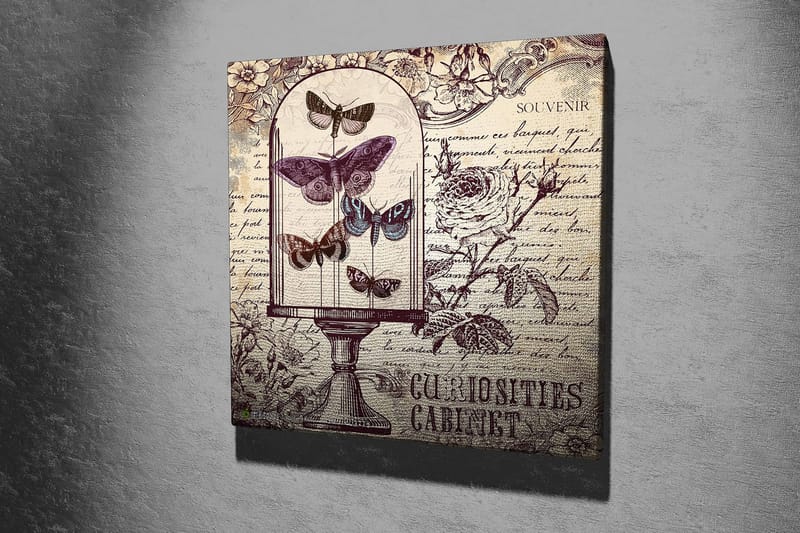 Canvastavla 45x45 cm - Insekter i en glaskupa med blommor och handskriven text i bakgrunden - Lila / Grå / Beige - Inredning - Tavlor & konst - Canvastavlor