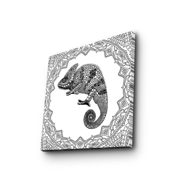 Canvastavla 45x45 cm - Kameleont i detaljrik svart och vit stil - Svart / Vit - Inredning - Tavlor & konst - Canvastavlor