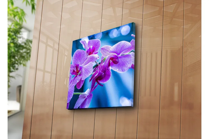Canvastavla 45x45 cm - Lila orkidéer i blomstring - Lila / Blå - Inredning - Tavlor & konst - Canvastavlor