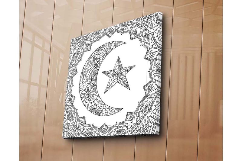 Canvastavla 45x45 cm - Mönstrad halvmåne och stjärna i en dekorativ ram - Svart / Vitt - Inredning - Tavlor & konst - Canvastavlor