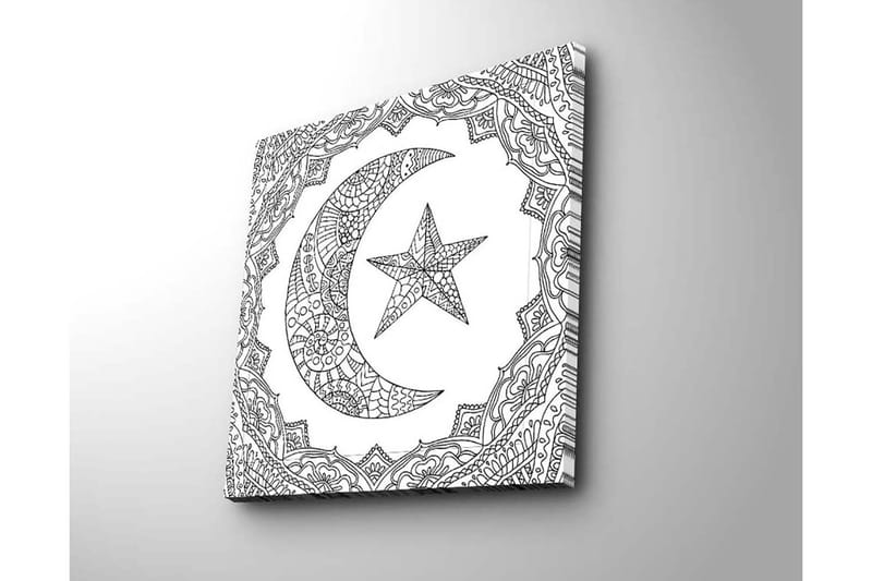 Canvastavla 45x45 cm - Mönstrad halvmåne och stjärna i en dekorativ ram - Svart / Vitt - Inredning - Tavlor & konst - Canvastavlor