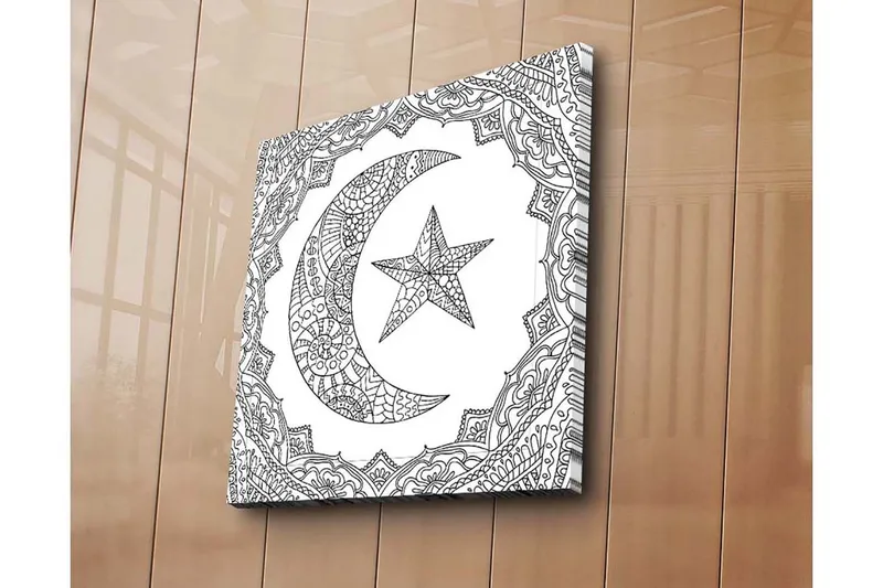 Canvastavla 45x45 cm - Mönstrad halvmåne och stjärna i en dekorativ ram - Svart / Vitt - Inredning - Tavlor & konst - Canvastavlor