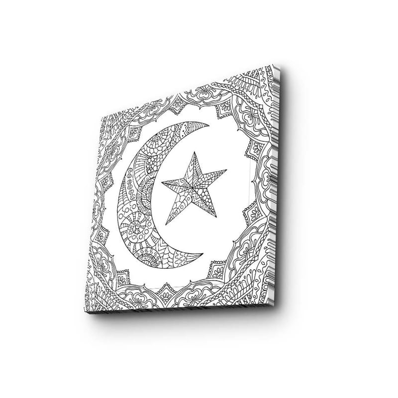 Canvastavla 45x45 cm - Mönstrad måne och stjärna i en dekorativ ram - Svart / Vitt - Inredning - Tavlor & konst - Canvastavlor