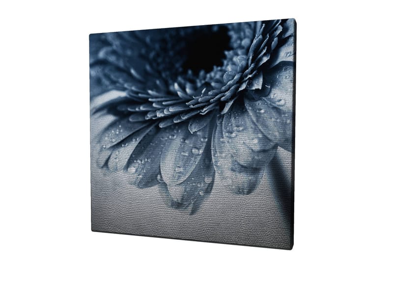 Canvastavla 45x45 cm - Närbild av en blomma med vattendroppar på kronbladen - Blå / Grå - Inredning - Tavlor & konst - Canvastavlor