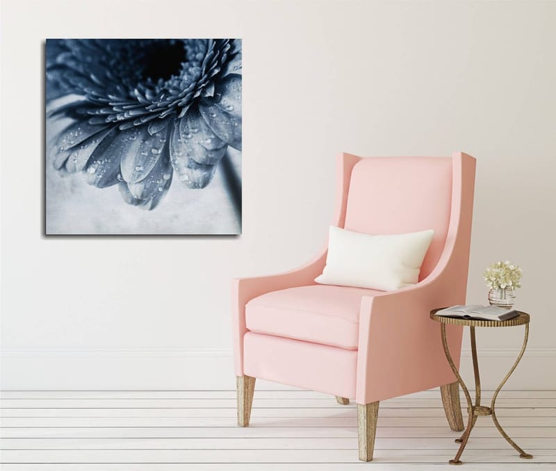Canvastavla 45x45 cm - Närbild av en blomma med vattendroppar på kronbladen, Blå / Grå