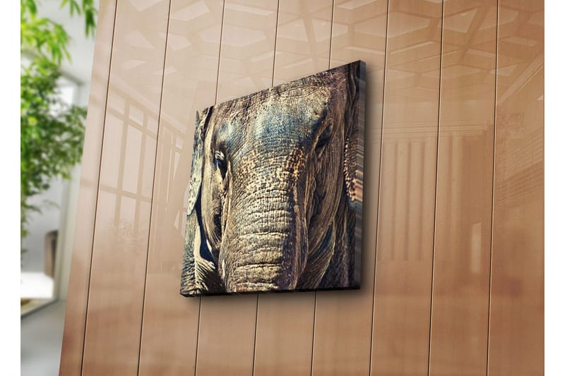 Canvastavla 45x45 cm - Närbild av en elefants ansikte med detaljerad textur - Grå / Brun / Beige - Inredning - Tavlor & konst - Canvastavlor