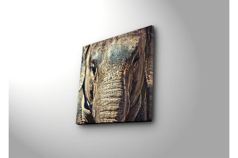Canvastavla 45x45 cm - Närbild av en elefants ansikte med detaljerad textur - Grå / Brun / Beige - Inredning - Tavlor & konst - Canvastavlor