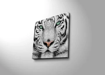 Canvastavla 45x45 cm - Närbild av en vit tiger med intensiva ögon - Vit / Svart / Grön - Inredning - Tavlor & konst - Canvastavlor