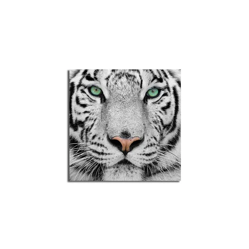 Canvastavla 45x45 cm - Närbild av en vit tiger med intensiva ögon - Vit / Svart / Grön - Inredning - Tavlor & konst - Canvastavlor