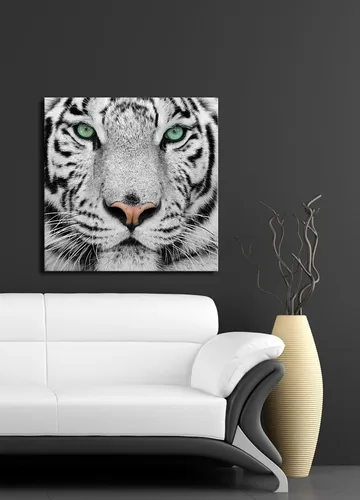 Canvastavla 45x45 cm - Närbild av en vit tiger med intensiva ögon - Vit / Svart / Grön - Inredning - Tavlor & konst - Canvastavlor