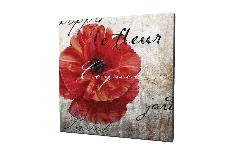 Canvastavla 45x45 cm - Röd vallmo med handskriven text i bakgrunden - Röd / Beige / Svart - Inredning - Tavlor & konst - Canvastavlor