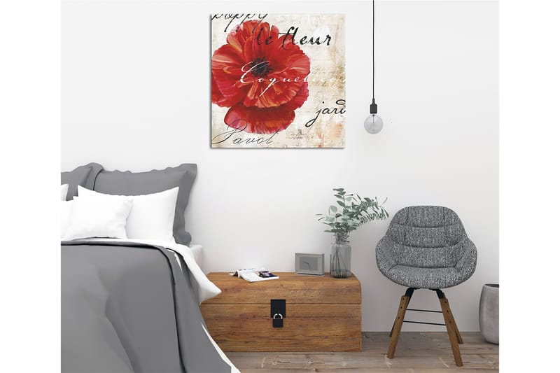 Canvastavla 45x45 cm - Röd vallmo med handskriven text i bakgrunden - Röd / Beige / Svart - Inredning - Tavlor & konst - Canvastavlor