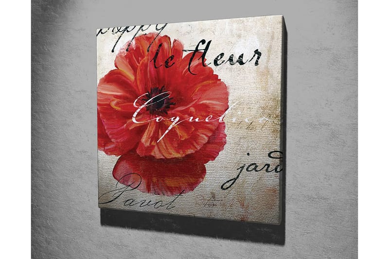 Canvastavla 45x45 cm - Röd vallmo med handskriven text i bakgrunden - Röd / Beige / Svart - Inredning - Tavlor & konst - Canvastavlor