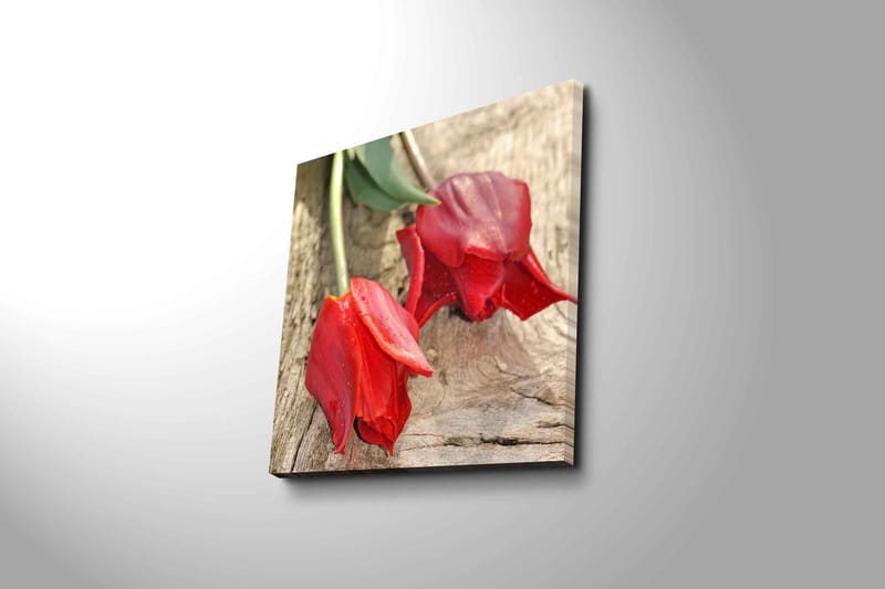 Canvastavla 45x45 cm - Röda tulpaner på en träyta - Röd / Grön - Inredning - Tavlor & konst - Canvastavlor