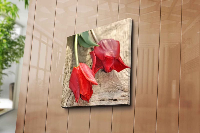 Canvastavla 45x45 cm - Röda tulpaner på en träyta - Röd / Grön - Inredning - Tavlor & konst - Canvastavlor