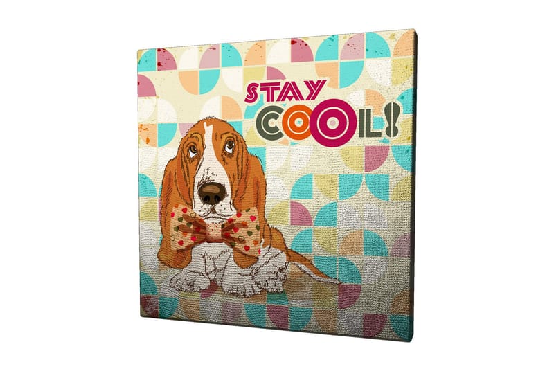 Canvastavla 45x45 cm - Söt bassetthund med en prydlig fluga - Orange / Blå / Beige - Inredning - Tavlor & konst - Canvastavlor