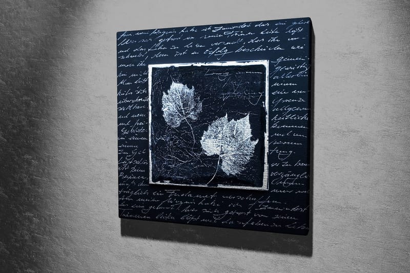 Canvastavla 45x45 cm - Silhuetter av löv på en mörk bakgrund med texturerad yta - Svart / Vit - Inredning - Tavlor & konst - Canvastavlor