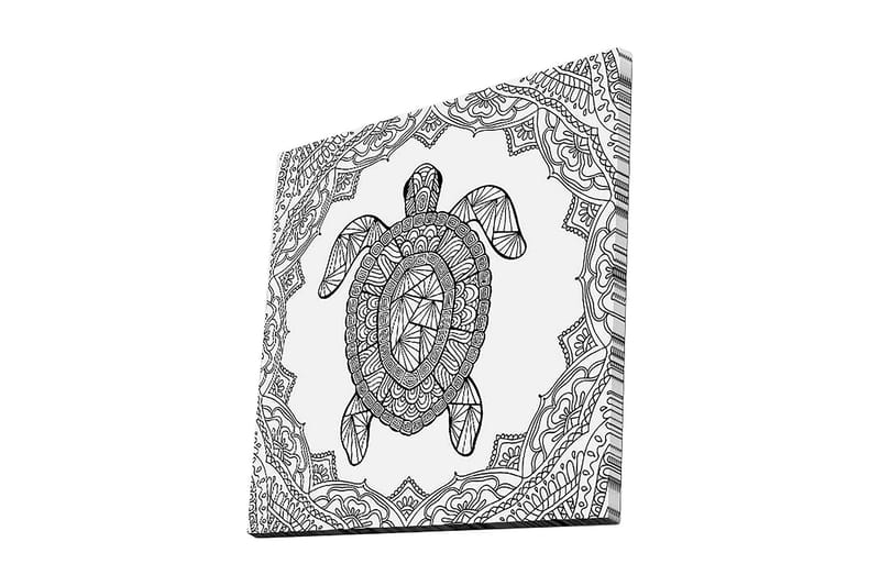 Canvastavla 45x45 cm - Sköldpadda i geometrisk stil omgiven av dekorativa mönster - Svart / Vitt - Inredning - Tavlor & konst - Canvastavlor
