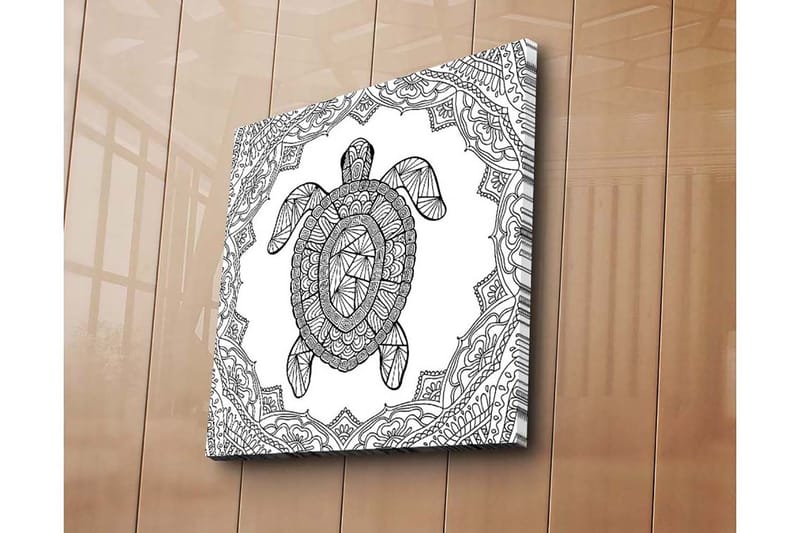 Canvastavla 45x45 cm - Sköldpadda i geometrisk stil omgiven av dekorativa mönster - Svart / Vitt - Inredning - Tavlor & konst - Canvastavlor