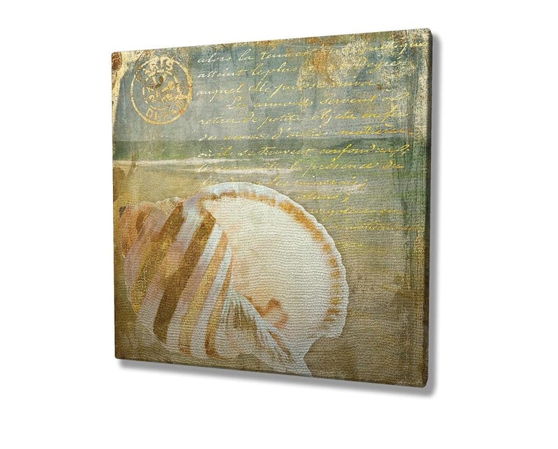 Canvastavla 45x45 cm - Snäcka med subtila detaljer och texturer - Beige / Blå / Grön - Inredning - Tavlor & konst - Canvastavlor