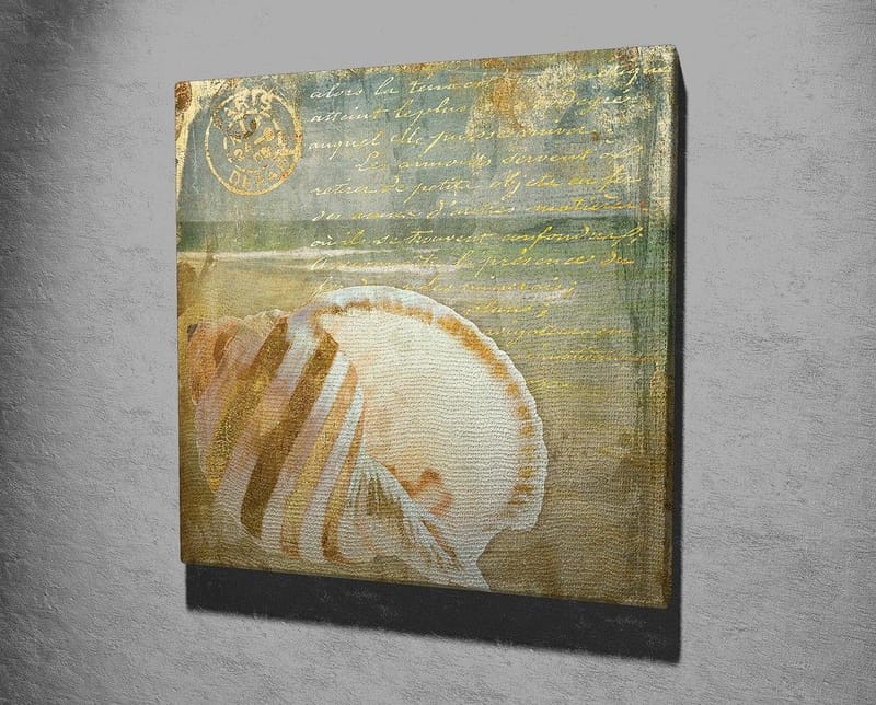 Canvastavla 45x45 cm - Snäcka med subtila detaljer och texturer - Beige / Blå / Grön - Inredning - Tavlor & konst - Canvastavlor