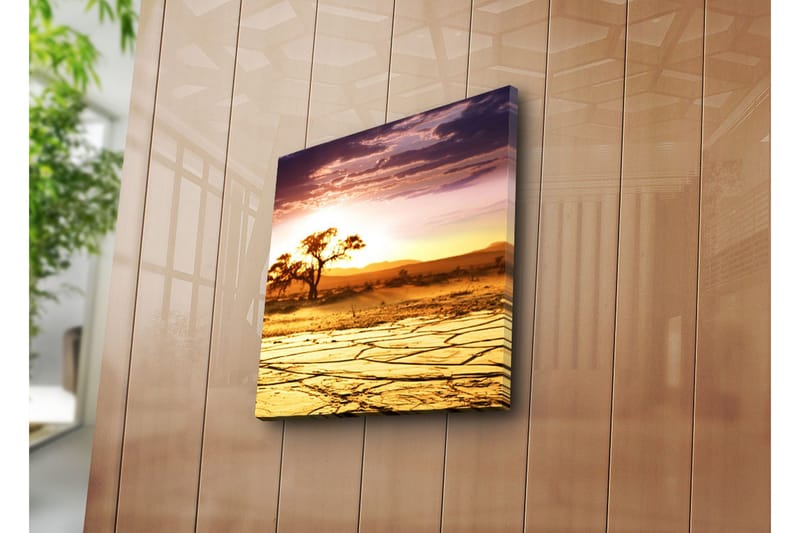Canvastavla 45x45 cm - Solnedgång över en ökenlandskap med ett ensamt träd - Guld / Orange / Lila - Inredning - Tavlor & konst - Canvastavlor