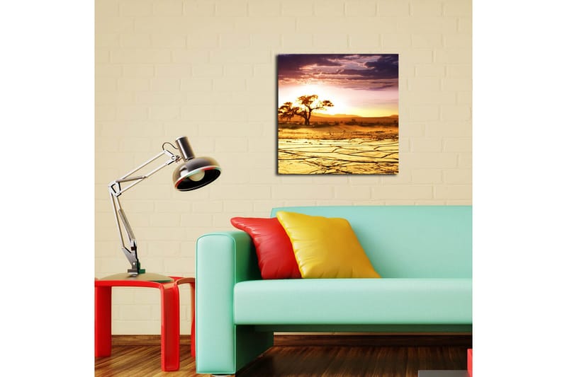 Canvastavla 45x45 cm - Solnedgång över en ökenlandskap med ett ensamt träd - Guld / Orange / Lila - Inredning - Tavlor & konst - Canvastavlor