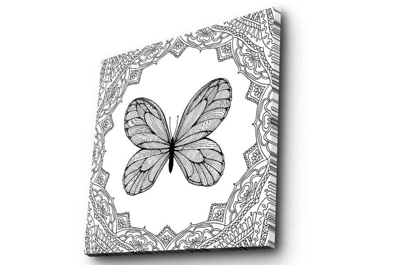 Canvastavla 45x45 cm - Svart fjäril med detaljerad mönsterinramning - Svart / Vitt - Inredning - Tavlor & konst - Canvastavlor