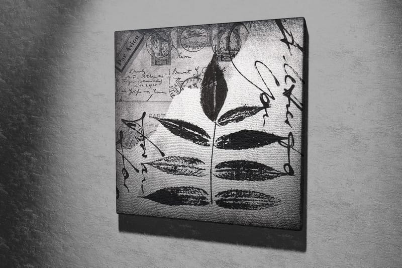 Canvastavla 45x45 cm - Svart silhuett av blad mot en grå bakgrund med handskriven text och poststämplar - Svart / Grå - Inredning - Tavlor & konst - Canvastavlor