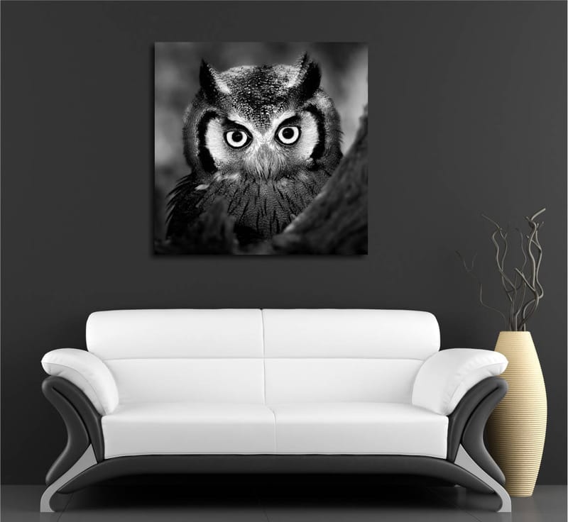 Canvastavla 45x45 cm - Svartvit närbild av uggla med froststänkta fjädrar och genomträngande blick - Svart / Vitt - Inredning - Tavlor & konst - Canvastavlor