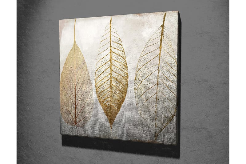 Canvastavla 45x45 cm - Torkade löv i guldtoner - Guld / Beige / Vit - Inredning - Tavlor & konst - Canvastavlor