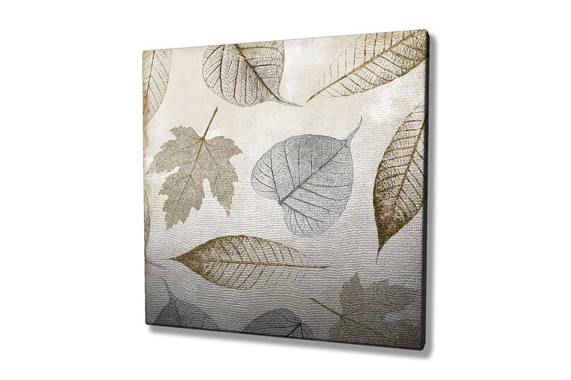 Canvastavla 45x45 cm - Torkade löv i subtila nyanser, Grå / Brun / Beige