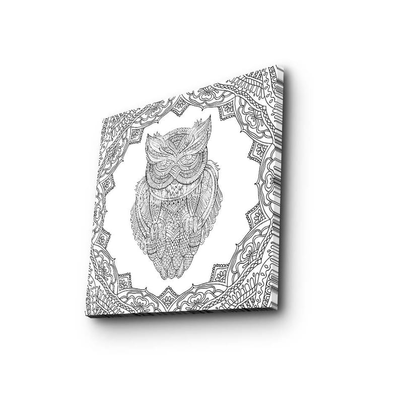 Canvastavla 45x45 cm - Uggla i detaljerad linjeteckning omgiven av ornamentala mönster - Svart / Vitt - Inredning - Tavlor & konst - Canvastavlor