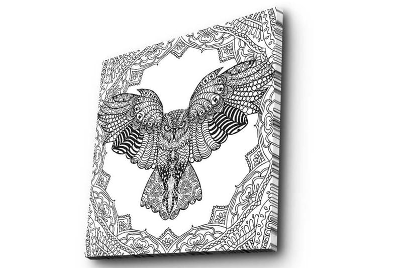 Canvastavla 45x45 cm - Uggla i detaljrik, svart och vit stil - Svart / Vit - Inredning - Tavlor & konst - Canvastavlor