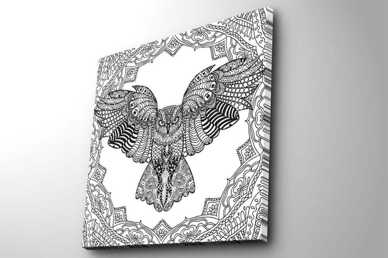 Canvastavla 45x45 cm - Uggla i detaljrik, svart och vit stil - Svart / Vit - Inredning - Tavlor & konst - Canvastavlor