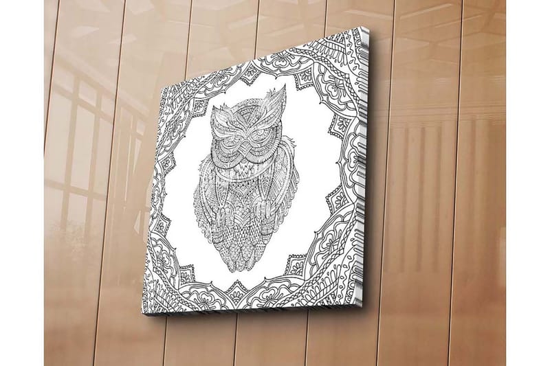 Canvastavla 45x45 cm - Uggla i detaljrik linjeteckning omgiven av ornamentala mönster, Svart / Vitt