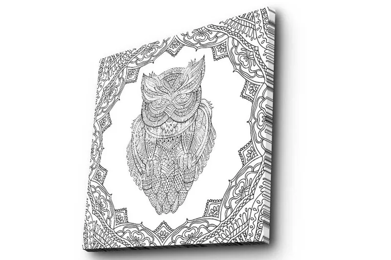 Canvastavla 45x45 cm - Uggla i detaljrik linjeteckning omgiven av ornamentala mönster - Svart / Vitt - Inredning - Tavlor & konst - Canvastavlor