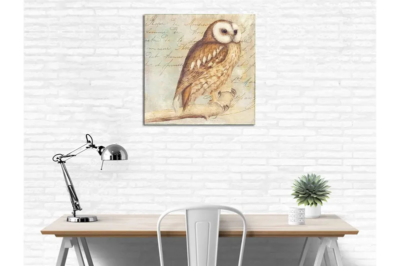 Canvastavla 45x45 cm - Uggla med detaljerad fjäderdräkt - Beige / Brun / Ljusblå - Inredning - Tavlor & konst - Canvastavlor