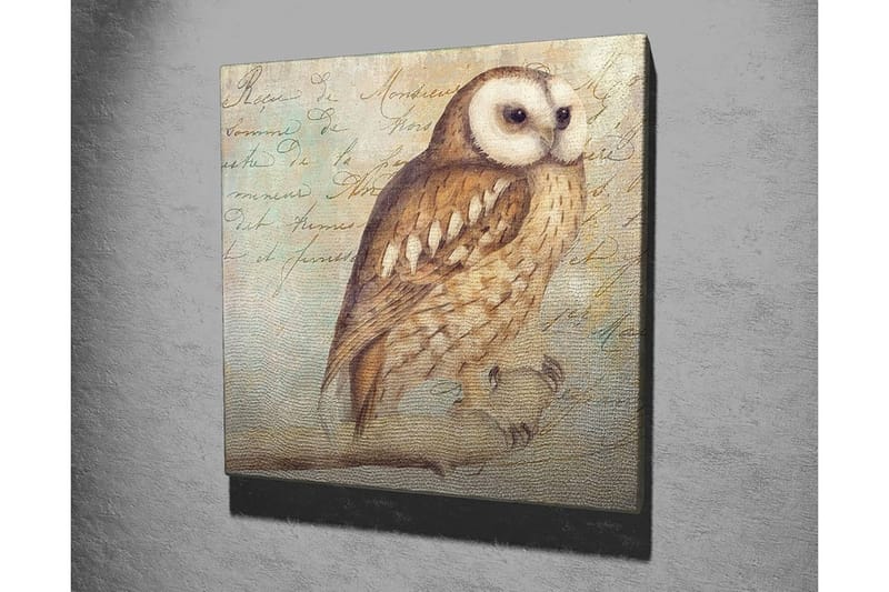 Canvastavla 45x45 cm - Uggla med detaljerad fjäderdräkt - Beige / Brun / Ljusblå - Inredning - Tavlor & konst - Canvastavlor