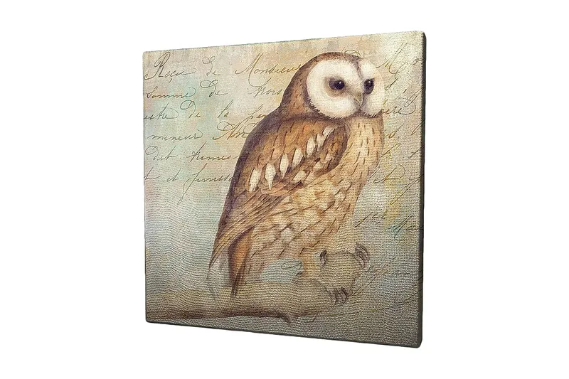 Canvastavla 45x45 cm - Uggla med detaljerad fjäderdräkt - Beige / Brun / Ljusblå - Inredning - Tavlor & konst - Canvastavlor
