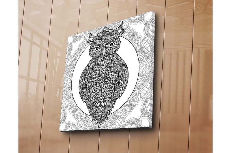 Canvastavla 45x45 cm - Uggla med intrikata mönster i svart och vitt - Svart / Vitt - Inredning - Tavlor & konst - Canvastavlor