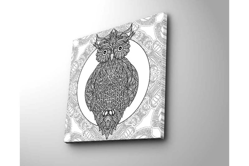 Canvastavla 45x45 cm - Uggla med intrikata mönster i svart och vitt - Svart / Vitt - Inredning - Tavlor & konst - Canvastavlor