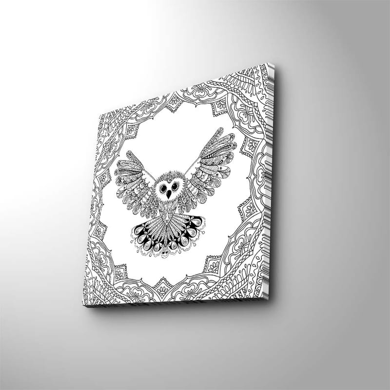 Canvastavla 45x45 cm - Uggla med utsträckta vingar i detaljrik ram - Svart / Vitt - Inredning - Tavlor & konst - Canvastavlor