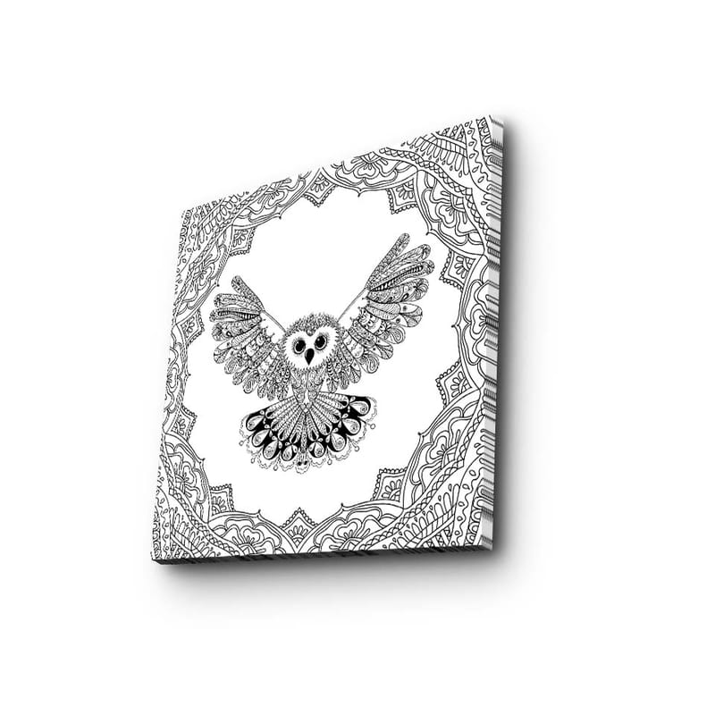 Canvastavla 45x45 cm - Uggla med utsträckta vingar i detaljrik ram - Svart / Vitt - Inredning - Tavlor & konst - Canvastavlor