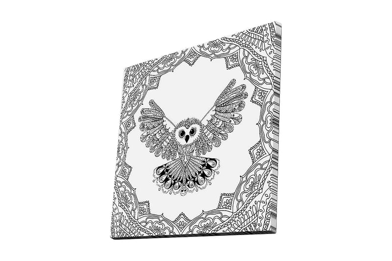 Canvastavla 45x45 cm - Uggla med utsträckta vingar i detaljrik ram - Svart / Vitt - Inredning - Tavlor & konst - Canvastavlor