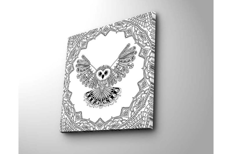 Canvastavla 45x45 cm - Uggla med utsträckta vingar i detaljrik ram - Svart / Vitt - Inredning - Tavlor & konst - Canvastavlor